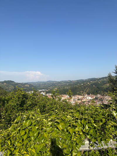 This is a landscape photograph taken from an elevated viewpoint overlooking the town of Santo Stefano Belbo, Italy. The foreground is dominated by lush, green foliage, with thick ivy covering what appears to be a metal railing or barrier. Beyond the foliage, a town spreads out across rolling hills, characterized by a dense collection of buildings with terracotta roofs and some modern white structures. The hills are covered in verdant trees and vineyards, indicating a rural or semi-rural setting. The sky is a clear, bright blue with a single, wispy white cloud formation in the distance. The lighting suggests it is a sunny day, likely late morning or early afternoon, given the shadows and the overall brightness of the scene. There are no people or animals visible in the image.