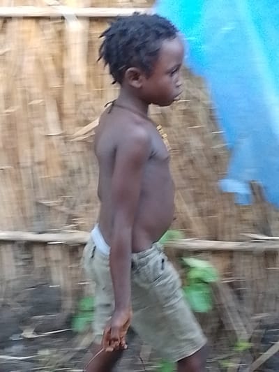 A young boy, possibly of African descent, is captured in a side profile view, walking from left to right. He appears to be in his early to mid-childhood, with dark, short, and somewhat spiky hair. He is shirtless, revealing a slim build, and wears light-colored, knee-length shorts. The shorts have a waistband that appears to be white or a very light grey, and there is a small pocket visible on the right side. A thin, dark string or necklace is visible around his neck.
The boy is walking in front of a backdrop that resembles a wall or fence made of dried plant material, possibly reeds or bamboo, arranged vertically. This suggests an outdoor setting in a rural or natural environment. To the right of the boy and behind him, a large swathe of bright blue material is visible, possibly a tarp or a piece of cloth, which creates a strong color contrast with the natural tones of the background and the boy's skin. There are hints of green foliage in the foreground and background, suggesting a vegetated area.
The image is slightly blurred, indicating movement, likely of the boy as he walks, or possibly a result of camera shake. This blur gives the photograph a dynamic feel. The lighting suggests it is daytime, though the specific time of day is not clear. There are no visible signs of text in the image. The overall impression is of a candid moment, capturing the boy in motion within his environment in what appears to be Kajola, Nigeria.