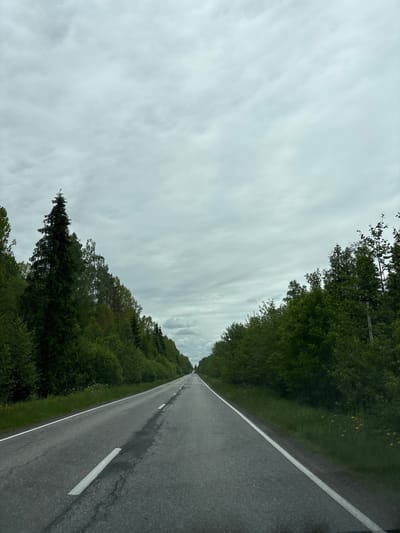 The image depicts a long, straight asphalt road stretching into the distance under an overcast sky. The road has white lines marking lanes and shoulders. Dense green trees line both sides of the road, creating a corridor effect. There is no visible human activity or objects on the road. The location of this image is not discernible from the information within the image and thus I cannot determine if it is Stroenie, Russia.