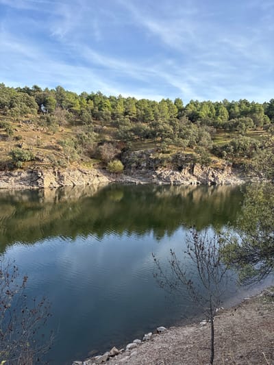 The image displays a natural landscape in Buitrago del Lozoya, Spain, featuring a tranquil body of water occupying the mid-ground and lower left. The water surface is dark blue-green, exhibiting subtle ripples and reflecting the sky and the opposite forested hillside.
The far bank is a rocky, undulating terrain densely covered with a mix of evergreen trees, identifiable by their dark and lighter green canopies, and sparse, bare deciduous trees. Rocky, light gray formations define the waterline of the far bank.
The immediate foreground on the right and bottom consists of a dry, reddish-brown dirt and gravel bank interspersed with scattered light-colored rocks. Leafless branches of small trees extend into the lower corners of the frame.
The upper portion of the image reveals a clear blue sky with wispy white clouds stretching horizontally. The scene is illuminated by natural daylight. No human subjects, animals, or man-made structures are visible.