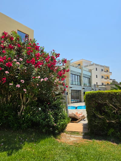The image shows a sunny day in Hlorakas Community, Cyprus, with a clear blue sky. In the foreground, a lush green lawn leads to a pathway bordered by dense green bushes and a vibrant flowering bush with pink and red blooms. To the right, a manicured hedge runs alongside the pathway.
Further into the scene, a modern building with a light-colored facade, glass windows, and balconies is visible. Next to it, a taller, cream-colored building with multiple balconies stands. Between these structures, a bright blue swimming pool is situated. A person is lying on a lounge chair on a wooden deck next to the pool, enjoying the sun. There is a dark object in the pool, possibly a person swimming. The overall environment suggests a resort or residential area with a focus on outdoor leisure.