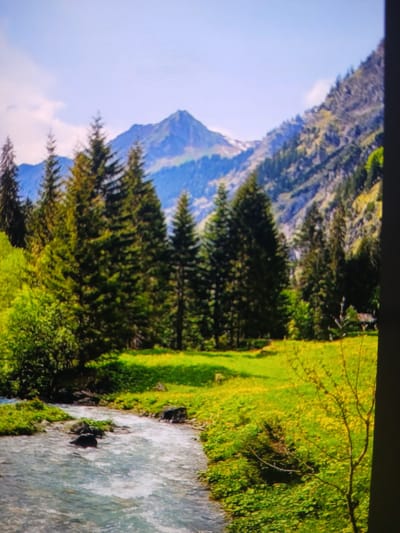 The image depicts a natural landscape scene. The primary subjects are a mountain, a forest of evergreen trees, and a flowing body of water, likely a river. The mountain is rugged and appears to be covered in sparse vegetation on its slopes. The trees are densely packed, forming a thick forest that extends from the foothills of the mountain towards the foreground. The water in the foreground is turbulent, suggesting a fast-flowing current, and appears to be rushing over rocks. The surrounding environment is lush with green grass and vegetation, indicating a vibrant and healthy ecosystem.
There are no visible people or man-made objects in the image, suggesting a wild or undeveloped natural setting. The lighting suggests it could be daytime, possibly late morning or afternoon, with the sun illuminating the scene and casting some shadows. The sky is visible in the upper left quadrant, appearing light blue with some soft clouds, hinting at fair weather.
The overall impression is one of serene natural beauty and the power of untouched wilderness. The composition, with the mountain in the background, the forest in the midground, and the river in the foreground, creates a sense of depth and vastness. The image evokes feelings of peace and awe, highlighting the grandeur of nature. No text is visible in the image. While the prompt provides a location context of Siheung-si, South Korea, there are no specific visual cues within the image itself to confirm this location.