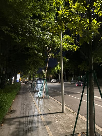 This is a nighttime, eye-level, medium shot of a sidewalk and street in Haizhu District, China. The sidewalk, to the left, is paved with grey tiles and features a tactile paving strip. To the left of the sidewalk is a low, neatly trimmed hedge. The street, to the right, is asphalt and appears wet, reflecting the light from streetlamps and building lights.
Several young trees are planted along the edge of the sidewalk, supported by green stakes. The trees have lush green foliage, illuminated by artificial lights, creating dappled shadows on the sidewalk. A streetlamp is visible in the middle ground, as is a white pole.
On the street, there are a few cars. In the middle distance, a white car is parked. Further down the street, a dark-colored car is parked, partially obscured by a traffic cone. In the background, buildings with lit windows are visible, suggesting an urban environment. The overall impression is a quiet, well-maintained urban street scene at night, possibly after rain.