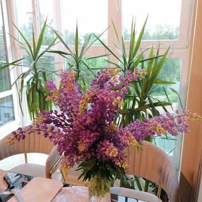 A close-up shot captures a bouquet of purple lupine flowers in a glass vase on a table, with two upholstered chairs visible behind it. Tall, spiky green plants flank the bouquet, with a large window and a blurred outdoor scene in the background. The image appears to be taken inside a home in Trubacheyevka, Russia.