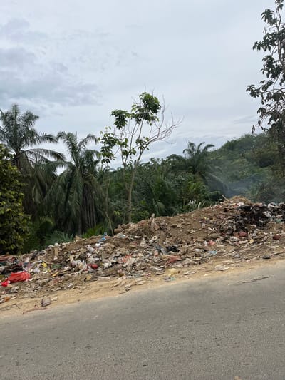 The image depicts a large accumulation of refuse and debris bordering a paved road in Rantau Pauh, Indonesia. The trash pile consists of various types of waste, including plastic bags, bottles, and organic materials, creating an unsightly and unsanitary landscape. In the background, dense tropical vegetation, characterized by palm trees and lush foliage, contrasts sharply with the presence of the garbage. A thin plume of smoke rises from the trash pile, suggesting ongoing burning or smoldering activities. The sky is overcast, with a grayish, cloudy appearance. No individuals are visible in the immediate vicinity of the garbage dump. The scene captures a common environmental challenge faced in many developing areas, where waste management infrastructure may be lacking.