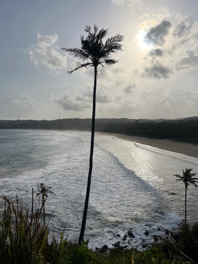 A silhouette of a tall palm tree dominates the foreground of the image, its fronds reaching towards a cloudy sky. The sun is partially obscured by clouds, casting a bright glow and reflecting on the water. Below, the ocean meets a sandy beach, with waves crashing against the shore. The coastline is lined with lush green vegetation and more palm trees. In the distance, a line of hills covered in dense trees forms the backdrop. The scene captures a serene, tropical beach landscape in Talalla, Sri Lanka.