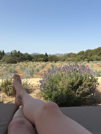 This image shows a person's legs and feet resting on a lounger, with a natural landscape in the background. The person's left foot has a tattoo. In the middle ground, there are rows of olive trees and lavender bushes. The background features a dense forest and hills under a clear blue sky. The scene appears to be in a rural, outdoor setting, possibly a garden or countryside estate. The specific location in the city of Artà, Spain is not evident from the visual information in the image.