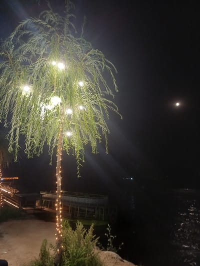 A night view of a weeping willow tree decorated with fairy lights, situated outdoors in Shahand, Uzbekistan. The tree, illuminated by several string lights, is positioned in the foreground on the left side of the image. Behind the tree, a body of dark water, likely a river or lake, occupies the right side of the frame. The water's surface reflects the faint light from the moon, which is visible as a small, bright orb in the upper right quadrant of the sky. In the middle ground, a wooden structure, possibly a dock or a restaurant, is visible along the water's edge. This structure is also adorned with lights, contributing to the ambient illumination of the scene. The ground in the immediate foreground appears to be sandy or gravelly, with some vegetation growing around the base of the tree and along the water's edge. The overall atmosphere is tranquil and serene, with the natural elements of the tree and water complemented by the decorative lighting.