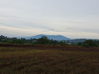 An overcast, muted landscape is depicted, possibly at dawn or dusk, in Geudongalue, Indonesia. The foreground features a field of dry, brown grass and some patchy soil. Beyond this, a darker, tilled strip of land runs horizontally. In the mid-ground, a line of lush green trees and some vegetation is visible, punctuated by a few scattered houses and structures. Dominating the background is a large, hazy mountain range with a soft, blue-gray hue, its form slightly obscured by the atmospheric conditions. The sky above is a pale, cloudy gray, with some subtle horizontal cloud formations. Two distant birds are visible as tiny dark specks in the sky. The overall impression is one of a rural, tranquil, and slightly subdued natural setting.