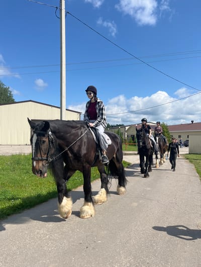 A group of people are riding horses on a paved path in Kurtsevo (Kovriginskii S/S), Russia. The main subject is a large, dark horse with light-colored feathering on its lower legs, ridden by a person wearing a black helmet, sunglasses, and a plaid shirt over a maroon top. The horse has a white blaze on its face and is wearing a bridle. Behind this horse are two other horses, each ridden by a person wearing a helmet. A fourth person, a woman in dark clothing, walks alongside the horses. The path is bordered by a grassy area with some wildflowers on the left and buildings in the background. The sky is blue with scattered white clouds, and a utility pole with wires is visible to the left of the frame. The scene appears to be a sunny day, suggested by the shadows cast on the path.