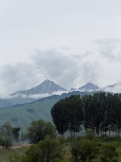 The image depicts a mountainous landscape in Shabdan, Kyrgyzstan. In the foreground, a line of tall, slender trees stands prominently. Behind them, rolling green hills recede into the distance. Further back, the jagged peaks of snow-capped mountains pierce through a cloudy sky. The overall atmosphere is overcast, suggesting a cool or perhaps slightly humid day. The scene is devoid of people, vehicles, or any apparent human activity. The focus is on the natural grandeur of the mountainous terrain, characterized by its lush vegetation and imposing peaks.