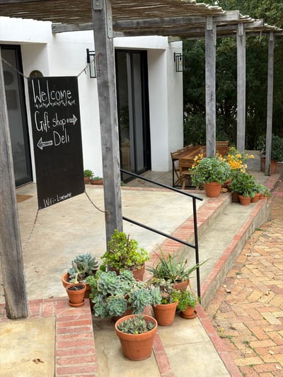 The image depicts an outdoor entrance to a "Gift Shop & Deli" located in Theewaterskloof Nu, South Africa. A black signboard hangs from a wooden pergola structure, displaying a "Welcome" message with arrows indicating directions to the gift shop and deli. The pergola has a wooden frame with vertical slats forming a roof, and black iron lighting fixtures are attached to the white building facade. The entrance area is decorated with numerous terracotta pots filled with various plants, including succulents and flowering species, arranged along a ramp and staircase with brick edging. The ground is paved with a mix of concrete and brickwork. A black metal railing is visible along the ramp. The overall environment is a combination of rustic and modern elements, characteristic of a curated outdoor shopping or dining space.