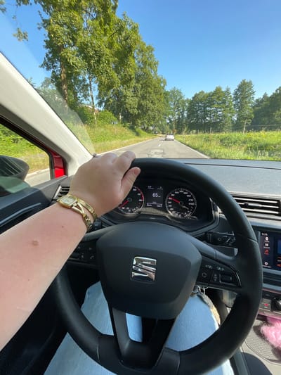 The image is a first-person perspective from inside a car driving on a two-lane road bordered by trees and grass. A hand with a gold watch is on the steering wheel. The car's dashboard displays a speed of 65 km/h. In the distance, another car is visible. The sky is clear and blue. The location is Nümbrecht, Germany.
