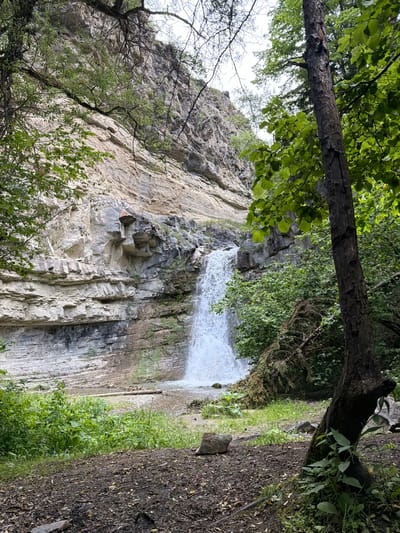 A picturesque view of a waterfall cascading down a rocky cliff face. Lush green foliage surrounds the base of the waterfall, with a clear stream flowing into a small pool. A large tree stands in the foreground, its trunk rough and weathered. The overall scene evokes a sense of natural beauty and tranquility. This is a waterfall in the vicinity of Biisi, Georgia.