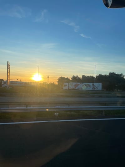 The image depicts a highway scene at sunrise or sunset in La Palme, France, viewed from a slightly elevated position, likely inside a moving vehicle given the blurred foreground and angle. The sun, a brilliant white-yellow orb, is low on the horizon, dominating the central left portion of the frame and casting significant glare across the mid-ground. The sky above is clear blue with faint white wispy clouds. A white contrail is visible in the upper right.
In the mid-ground, a multi-lane highway stretches horizontally. A silver metal guardrail runs across the lower mid-ground. Beyond the guardrail, two large commercial trucks are visible. To the left, a white tanker truck with "SATA" prominently displayed on its side is positioned near a tall, light-colored sign structure, possibly a gas station sign. To the right, a white semi-trailer truck features colorful graphics on its trailer, including the text "EL POZO" and an illustration of a person playing tennis. Both trucks appear stationary or are moving slowly on an adjacent road or rest area. Between the trucks and slightly behind them, a tall street light pole stands, and a cellular tower or similar mast is visible further to the right. A dense line of dark green trees forms the backdrop along the horizon, behind the vehicles and structures. The immediate foreground shows a dark asphalt surface with a white lane marking, partially obscured by shadows. No individuals are visible.