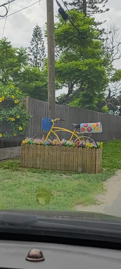 An outdoor scene in Largo, Florida, shows a yellow bicycle parked inside a wooden planter filled with colorful artificial flowers. The bicycle has a blue basket on the handlebars and a fabric panel with a floral design attached to the rear rack. Behind the planter, a wooden fence encloses the yard. Yellow flowers are visible on a bush to the left of the bicycle. A tall, slender tree is visible in the background, along with other green foliage and a utility pole. The image is taken from inside a vehicle, with the dashboard and windshield visible in the foreground. The sky is overcast.