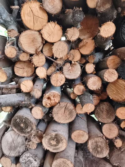The image displays a dense, overhead view of a large stack of cut logs. The logs vary in diameter and length, with many exhibiting rough, uneven cuts. The wood colors range from light tan to dark brown and gray, with visible grain patterns and occasional signs of weathering and decay, such as cracks and peeling bark. Some of the logs are rough and splintered, while others appear smoother. The arrangement is chaotic and piled high, suggesting a storage area for firewood or lumber. The scene appears to be outdoors, with hints of green foliage visible in the background in some areas, suggesting a natural or semi-natural environment. There are no people or animals visible in the image. The lighting is natural, casting shadows and highlighting the textures of the wood. The overall impression is one of natural materials neatly but densely stacked.
