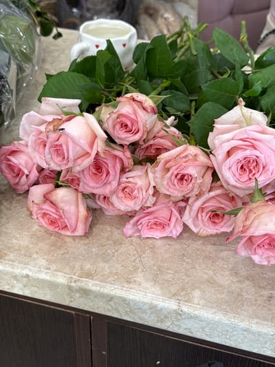 This media file features a close-up, top-down view of a bouquet of light pink roses. The roses are in various stages of bloom, with some fully opened and others still tightly budded. They are arranged in a lush bouquet, with numerous green leaves visible, some of which appear slightly wilted. The bouquet rests on a textured surface that appears to be a countertop or table. To the left of the roses, a white mug with small red heart details is partially visible. The overall lighting suggests an indoor setting, possibly with natural light filtering in. The image conveys a sense of softness and natural beauty, with the delicate colors of the roses being the primary focus. There is no visible text in the image, and no specific activity or event is depicted, other than the presentation of a floral arrangement. The location context of Sunzha, Russia, does not provide specific visual cues within the image itself.