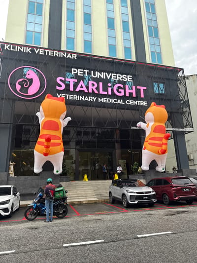 The image shows the front of a veterinary medical center called "Pet Universe Starlight Veterinary Medical Centre," located in Ampang Jaya Municipal Council, Malaysia. The building has a modern black facade with large inflatable cat decorations attached to the exterior. A sign displays the clinic's name and logo, with a pink circle containing a silhouette of a cat and a dog.
Several vehicles are parked in front of the building, including a red car, a white car, and a silver car. A person on a motorcycle with a Grab delivery bag is visible near the entrance. The overall environment appears to be an urban street with clear weather.