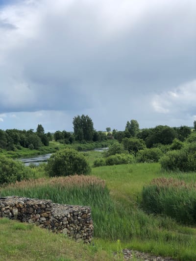 The image depicts a natural landscape in Nadezhda, Russia, dominated by lush greenery and a cloudy sky. In the foreground, a gabion wall constructed from stones and wire mesh is visible on a grassy slope. Beyond the wall, tall, dry reeds form a dense band, transitioning into a vibrant green meadow filled with various grasses and vegetation.

A winding river flows through the middle ground, bordered by a dense array of trees and shrubs. The trees vary in size and density, with some taller specimens standing out against the backdrop of smaller bushes. The far bank of the river is also lined with trees, extending towards the horizon. The sky above is heavily overcast with thick, grey clouds, suggesting the possibility of rain or a stormy day. The overall impression is one of a tranquil, undeveloped natural environment. There are no people or animals visible in the image, and no actions or interactions are depicted.