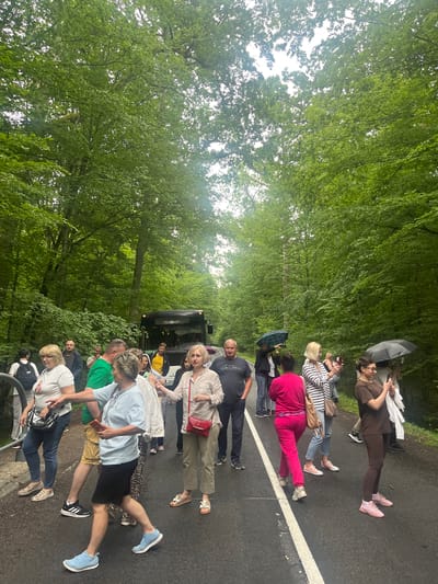 This is a medium shot of a group of tourists gathered on a paved road lined with lush green trees. The road has a white dividing line. The sky is overcast, suggesting it might be raining, as several people are holding umbrellas. A black tour bus is parked in the background, partially obscured by trees. The tourists appear to be on a guided tour, with some looking at their phones, others talking to each other, and some pointing. The environment is a forest, characteristic of the rural setting of Шарашэўскі сельскі Савет, Belarus, known for its natural landscapes and national parks.