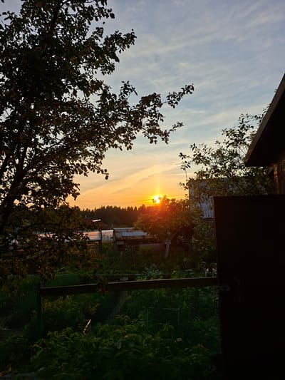 The image depicts a rural sunset scene, likely in or near the city of Pervouralsk, Russia. The sky is a blend of soft blues and vibrant oranges as the sun dips below the horizon, casting long shadows. In the foreground, a large tree with dark foliage dominates the left side of the frame, its branches reaching towards the sky. A wooden fence with wire mesh runs horizontally across the midground, separating lush green vegetation from what appears to be a garden or allotment. Behind the fence, several structures are visible, including what might be greenhouses or sheds, and a dense line of trees forms the distant landscape. The right side of the image is partially obscured by the dark silhouette of a wooden structure, possibly part of a building or shed, with its doorway or opening facing the scene. No people are present in the image. The overall impression is one of peaceful, natural beauty at the end of the day.