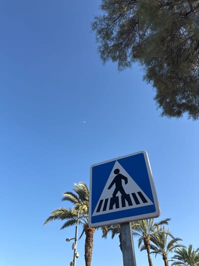 An outdoor, low-angle, eye-level shot captures a blue and white pedestrian crossing sign against a clear, bright blue sky. The sign depicts a black silhouette of a person walking across black and white stripes representing a crosswalk. In the background, the fronds of several palm trees are visible, along with a tall, thin tree with feathery foliage at the top right. A faint, distant airplane is visible in the sky. The scene suggests a sunny day in a coastal or tropical location. The presence of palm trees and the clear sky may indicate a location like Aguadulce, Spain, known for its Mediterranean climate and palm-lined streets. There are no people or animals depicted in the immediate foreground or midground. The image is a static, documentary-style shot of signage and natural elements.