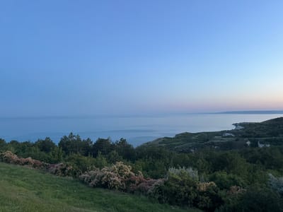 This is a wide-angle, landscape photograph taken at dusk, looking out over the Black Sea from a hillside in Topola, Bulgaria. The sky is a clear, soft gradient of blue, fading to a lighter hue towards the horizon where the sea meets the sky. The sea itself is calm, appearing as a vast, smooth expanse of muted blue.
In the foreground, a lush green grassy slope leads down towards a dense line of trees and shrubs. Among the dark green foliage, there are clusters of smoke bush plants in bloom, their characteristic fluffy, pinkish-purple plumes adding a soft texture and color contrast. The trees appear to be a mix of coniferous and deciduous varieties.
Further in the distance, the coastline is visible, characterized by rolling hills covered in vegetation and interspersed with chalky white cliffs. A small settlement or cluster of buildings can be faintly seen along the coast. The overall mood of the image is tranquil and serene, capturing the quiet beauty of the natural landscape at the end of the day. There is no visible text in the image.