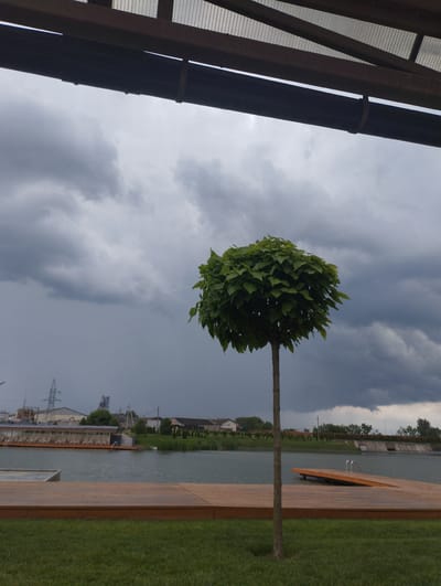 A single, round-shaped tree stands in the foreground, its green leaves contrasting with the dark, stormy sky. The tree is positioned on a patch of vibrant green grass, which is separated by a wooden deck from a tranquil body of water. In the background, along the far bank of the water, are residential buildings and industrial structures, including a large pylon and what appears to be a factory. The sky is filled with dramatic, heavy clouds, suggesting an approaching storm or recent rainfall. The lighting is dim and overcast, typical of a stormy day. The scene appears to be set in an outdoor recreational area, possibly a park or a lakeside resort. No people are visible in the image, and no text is present.