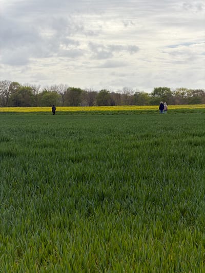 The image shows a landscape in Auvers-sur-Oise, France. A field of green wheat is visible, bordered by a strip of yellow rapeseed flowers and a line of trees. Two figures are present. One is at the lower part of the photo, and a pair of figures at the upper part, seemingly walking across the field. The sky is overcast with white and gray clouds.