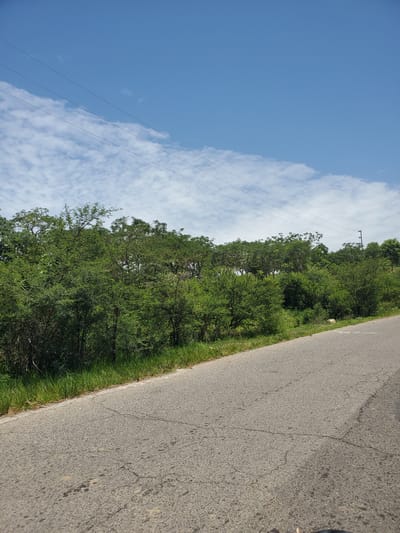 The image depicts a paved road cutting through a lush, green landscape under a bright blue sky with scattered white clouds. Power lines are visible stretching across the sky, supported by a utility pole on the right side of the frame. The road surface shows signs of wear and tear, with cracks and some dark patches. To the left of the road, a dense line of trees and foliage forms a verdant backdrop, with tall grass growing along the roadside. The scene appears to be in a rural or semi-rural area. The location is identified as Gwolong, Nigeria.