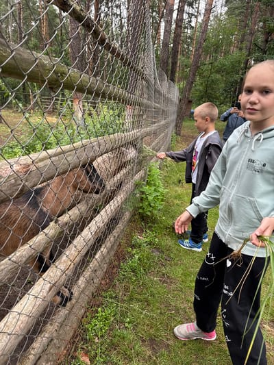 The image shows two children and what appears to be a goat in an outdoor enclosure. One child, in the foreground, is holding a bunch of grass with roots attached. This child is wearing a light green hooded sweatshirt with black sweatpants that have white text and graphics on them, including a heart, smiley faces, and some Cyrillic lettering. They are also wearing grey and pink sneakers. Behind this child, another child is visible, wearing a grey jacket over a white t-shirt and black pants, also holding grass.
The goat, visible through a chain-link fence and wooden barriers, is brown and black. The background consists of a wooded area with pine trees. The ground is covered in grass and dirt. The scene appears to be a sunny day, and the overall mood seems casual and possibly educational, with the children interacting with the animal and its environment. Some text is visible on the black sweatpants of the child in the foreground, including "GOAD" and some Cyrillic letters that appear to say "одежду" and "твою". Another line of text appears to say "next". The location is identified as Leninskii, Russia.