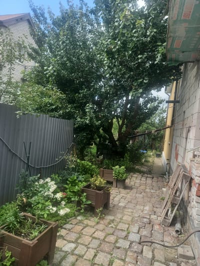 The image depicts an outdoor scene in the city of Maloye Lugovoye, Russia. A narrow pathway paved with cobblestones runs between a grey corrugated metal fence on the left and a light-colored brick building on the right. Mature trees with dense green foliage dominate the center and left portions of the image, casting shadows on the pathway. Several wooden planters are visible along the pathway, some containing green plants and others empty. White flowers are blooming in one of the planters. The building on the right appears to be under construction or renovation, with exposed brickwork and scaffolding elements. A wooden pallet leans against the building. The sky is visible above the trees and building, appearing overcast. The scene conveys a sense of a somewhat unkempt but lived-in outdoor space.