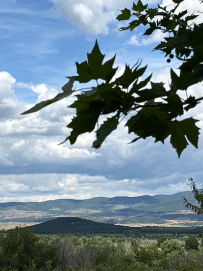 The image depicts a view of rolling hills and mountains under a cloudy blue sky, with the foreground dominated by the dark silhouette of tree branches and leaves. In the middle ground, a distinct conical hill covered in dark green trees stands out against a lighter, more sparsely vegetated landscape. Beyond this, layers of mountains recede into the distance, their peaks softened by atmospheric haze. A small, scattered village is visible in the far distance, nestled in a valley. The overall impression is one of a natural landscape with a sense of depth and scale. The location is the city of Slavovitsa, Bulgaria.
