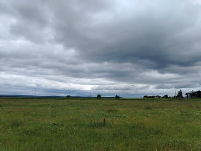 The image depicts a vast, overgrown meadow under a dramatic, overcast sky. The grass is a mix of greens, with various wildflowers scattered throughout, some appearing as white and yellow specks. In the distance, a treeline forms a dark, undulating horizon, beyond which a faint, dark ridge is visible. Several sparse trees dot the meadow, and a solitary utility pole stands prominently in the middle ground, with wires stretching horizontally across the frame. To the right of the utility pole, a cluster of buildings, appearing to be houses and possibly a barn or workshop, are situated along the horizon line. The sky is dominated by heavy, dark gray clouds, with lighter patches suggesting breaks in the overcast. The overall impression is one of a rural landscape on a moody, possibly pre-storm day. The location is identified as Novo Selo, Russia.
