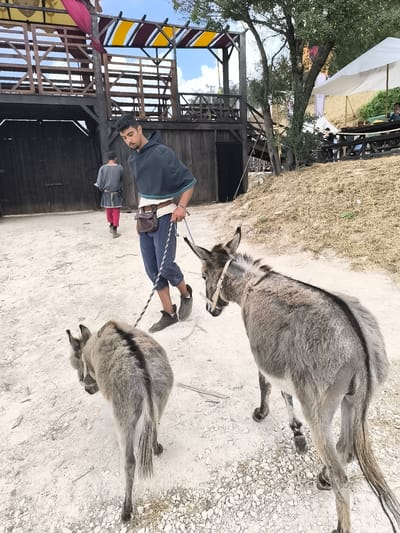 In the city of Óbidos, Portugal, a man with dark hair and a light beard, wearing a dark hooded garment and blue pants, leads two donkeys on a dirt path. The man is holding a rope leash connected to one of the donkeys. Another person in a grey tunic and red pants walks away from the camera in the background. The scene is set at what appears to be a historical reenactment or fair, with wooden structures and flags visible in the background, along with a white canopy. The ground is covered in sand and small stones, and sparse dry vegetation is present. The lighting suggests it is daytime with some cloud cover.