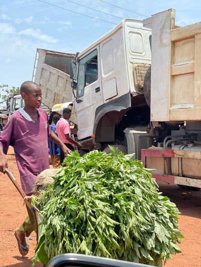 The image captures a street scene in Kwali, Nigeria. A man wearing a maroon, long-sleeved shirt and green pants carries a large bundle of green leafy vegetables on a pole. He is wearing brown and blue sandals. Another man, wearing a pink shirt, assists in carrying the load. The men are standing in front of a large white truck. The environment appears to be an outdoor space with visible soil and other trucks parked nearby. The sky is partly cloudy. The image seems to have been taken from within a vehicle, as part of a window is visible on the right side.