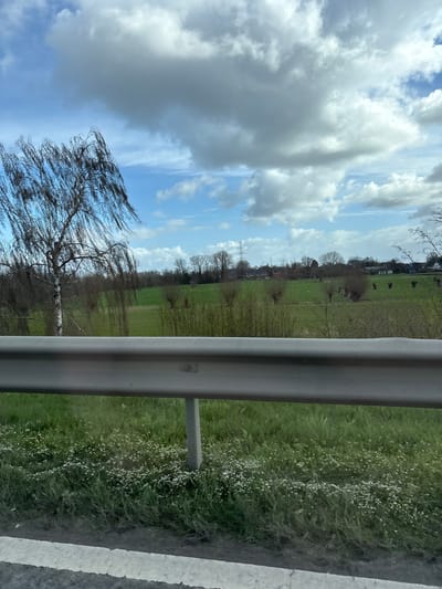 The image depicts an expansive rural landscape on the agricultural periphery of Sint-Niklaas, Belgium, viewed from a slightly elevated position, likely a roadside. In the immediate foreground, a grey metal guardrail traverses the lower portion of the frame, supported by a grey concrete post. Below the guardrail, a strip of green grass, dotted with numerous small white wildflowers, extends to a partial view of a white road marking on asphalt at the very bottom. To the left, a tall, slender birch-like tree with distinctive white bark stands prominently, its numerous branches devoid of leaves and exhibiting a downward-sweeping form due to wind or species characteristic.
Beyond the guardrail, a vast, flat green field stretches across the midground. Scattered throughout this field are numerous pollarded trees, identifiable by their thick, short trunks and clusters of new, upright, thin branches, suggesting early spring growth. These trees are typically willows. In the background, a denser line of leafless deciduous trees marks the distant edge of the field, behind which sparse residential buildings with dark roofs and light-colored facades are discernible. A prominent tall, grey metal lattice power transmission tower rises on the horizon, slightly left of center, indicating industrial infrastructure within the rural setting. The sky above is partly cloudy, featuring large, textured white and grey cumulus clouds interspersed with patches of clear blue sky. No people, animals, or specific interactions are visible within the scene. The overall environment is consistent with the agricultural areas found within the municipality of Sint-Niklaas, often bordering major transport routes like the N41 or E17.