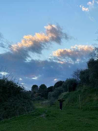 This image depicts an outdoor landscape scene in Cucuron, France, captured during a low-light period, indicative of either dawn or dusk. The upper half of the frame is dominated by a sky displaying patches of light blue amidst extensive dark blue-gray cloud cover. Several prominent cloud formations are illuminated with a distinct golden-orange hue, suggesting indirect sunlight from a low angle.
The lower half of the image features an uneven, green grassy terrain with a narrow, unpaved dirt path. This path originates from the lower-left corner and recedes diagonally towards the center-right midground. A single human subject is positioned in the midground, standing on the grass near the path, facing the camera. This individual is dressed in dark clothing, consisting of a long-sleeved top and trousers. Their arms are extended horizontally outwards from their torso, with forearms slightly raised and hands clenched into fists.
A rudimentary fence, constructed from vertical wooden posts and horizontal strands of wire or rope, traverses the midground. It extends from the lower-right side of the frame towards the distant center, positioned between the viewer and the individual. To the immediate left, a dense mass of dark green bushes and shrubs occupies the foreground and midground, intermingled with some bare, dark tree branches. The right side of the scene features a moderately steep, vegetated slope covered in a variety of dark green trees and shrubs, some of which display small white floral elements. Additional trees are visible in the far background, silhouetted against the sky.