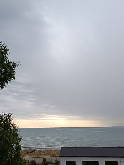 The image depicts a coastal scene in Sabunchu Raion, Azerbaijan, under an overcast sky with a faint glow of sunlight near the horizon. A calm, blue-grey sea stretches to the horizon, with subtle waves creating texture on its surface. A shoreline, characterized by pebbles and dry vegetation, is visible between the water and a road. A dark-pitched roof of a building occupies the lower right portion of the frame, with what appear to be large, dark-tinted windows. In the foreground, on the left side, the lush green foliage of a tree with long, drooping leaves hangs into the frame. The overall impression is one of a quiet, possibly early morning or late afternoon coastal environment.