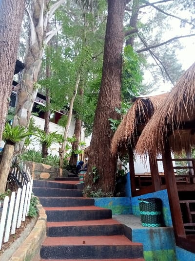 The image depicts an outdoor pathway ascending a gentle incline in Kuwukan, Indonesia. A series of concrete stairs with alternating black treads and red risers lead upwards from the lower-left. A low white picket fence borders the left side of the stairs. To the right of the stairs, two structures featuring distinct thatched roofs, constructed from dried plant material, are visible, supported by wooden posts. Adjacent to the stairs and beneath one of the thatched structures, a cylindrical woven bin with green and black stripes rests on a blue and green painted concrete base. Numerous tall trees with rough bark and various types of lush green foliage, including potted ferns, dominate the scene, suggesting a heavily vegetated environment. In the mid-ground, partially obscured by a tree and foliage, a single individual dressed in dark clothing is seated on or near the upper steps. A white building with a dark roofline is discernible in the upper background, surrounded by more trees. The scene is illuminated by ambient daylight under what appears to be an overcast sky.