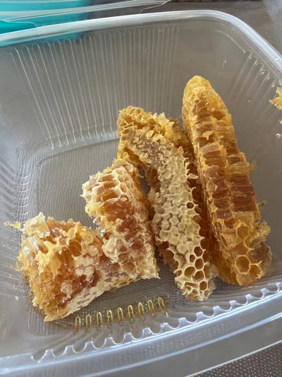 The image displays several pieces of natural honeycomb, golden-amber in color and glistening with honey, contained within a clear, rectangular plastic food storage container. The honeycomb varies in shape and size, with visible hexagonal wax cells, some of which are intact and filled with honey, while others appear broken or partially empty. A small amount of liquid honey is visible pooled at the bottom of the container. The plastic container has a ridged design on its sides and a textured pattern on its base. The scene is presented from a slightly overhead perspective under what appears to be ambient indoor lighting. No individuals, explicit actions, or direct interactions are visible. This scene is located in Mauléon-d'Armagnac, France.