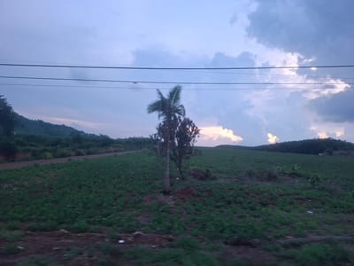This media file depicts a rural landscape in Dong Nai City, Vietnam, under a twilight sky. The scene is dominated by a vast, green field, likely farmland, stretching towards a gentle hill covered in dense trees. A solitary palm tree, with its fronds blurred by motion, stands in the middle of the field, adding a tropical element to the scenery. In the background, a road or path winds its way along the edge of the farmland, separating it from the treeline. Power lines crisscross the sky, suggesting the proximity of a settlement or transportation route.
The time of day is clearly evening or early morning, as indicated by the soft, diffused light and the muted colors of the sky. The sky itself is a mix of blues and grays, with streaks of pink and orange from the setting or rising sun peeking through dramatic clouds. This suggests a dynamic weather pattern, possibly a passing shower or the buildup to a storm. The overall mood is serene and tranquil, evoking a sense of peace and quietude associated with the countryside. The motion blur of the palm tree and the slight blurriness of the foreground indicate the image was likely taken from a moving vehicle. No people or text are visible in the image.