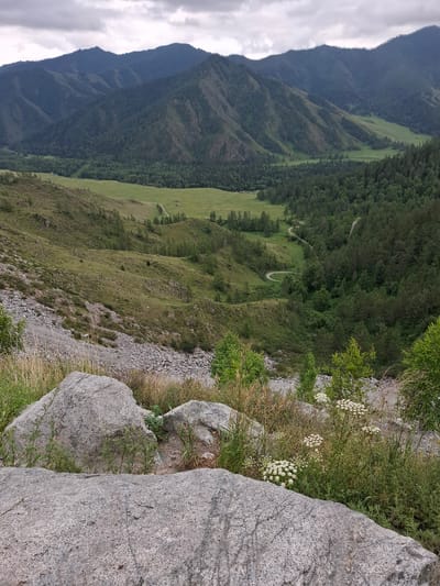 The image depicts a panoramic view of a mountainous valley under an overcast sky. In the foreground, large granite boulders are visible, covered in patches of green grass and dry stalks of vegetation. The middle ground features a steep, rocky slope transitioning into a lush green hillside dotted with sparse trees. Further into the valley, a dense forest of dark green pine trees covers the slopes, with a winding dirt road snaking through the trees and meadows. In the distance, multiple layers of progressively darker, more rugged mountains recede into the haze. A small, red building with a white roof is visible in the far distance on a green meadow. The scene is natural and undeveloped, suggesting a remote, mountainous region. The location is not in Khabarovsk, Russia, but is consistent with mountainous terrain found in regions like the Altai Mountains. There are no people or animals present in the image, and no actions or interactions are depicted. The environment is characterized by its natural, rugged beauty.