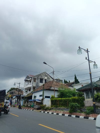 This image depicts a street scene in Palayan, Philippines, under an overcast sky. The foreground shows an asphalt road with a solid yellow center line and a curb featuring black and white checkered segments. On the left, a motorcycle with a helmeted rider is visible, possibly in motion away from the camera, along with the rear portion of a larger vehicle.
The left side of the street features a row of structures. Prominently, a three-story building with a weathered, unpainted concrete facade and dark windows stands out. Its upper levels include a white-painted balcony structure with railings. Adjacent to it are single-story or two-story buildings with terracotta-style tiled roofs. Utility poles with numerous overhead power lines crisscross the scene. A modern street lamp with a single dark luminaire is present on this side. Further along the sidewalk, several small vendor stalls or structures, some covered with blue tarpaulins, are visible. Green foliage and bushes grow along the curb and between some buildings.
On the right side of the road, a decorative street lamp with two lantern-style luminaires and ornate golden accents on a dark pole is visible. Behind it, a building with a dark green tiled roof and a gazebo-like structure is partially obscured by green hedges. A portion of a white vehicle is visible in the bottom right corner, suggesting the viewpoint is from a vehicle. The overall environment indicates a mixed residential and commercial area.