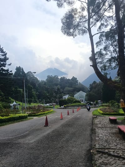 This image depicts an outdoor park or botanical garden scene, reportedly located in the city of Thành phố Kon Tum, Vietnam, under an overcast sky.
In the foreground, a dark asphalt road curves gently from the bottom center towards the midground. A white string or tape lies horizontally across the lower left section of the road. Six orange traffic cones are systematically spaced along the center of the road, leading into the distance. To the immediate right of the road is an uneven, textured path constructed from reddish-brown paving stones or cobblestones. Two red, rectangular benches are positioned on the far right edge of this path.
In the midground, on the asphalt road, a dark-colored motorcycle with a single rider wearing a dark helmet and dark attire is moving away from the viewer, positioned between the traffic cones and the right side of the road, approaching a central landscaped island. To the left of the road, a manicured green space features low hedges, flower beds, and a white, pointed-roof gazebo structure further back. Beyond this, a parking area with several parked vehicles and indistinct human figures is visible. Dominating the center-right midground is a large, white-framed glass structure, resembling a greenhouse or conservatory, surrounded by dense green foliage and trees.
The background consists of steep, heavily forested mountains. The highest peak, centrally located, is partially obscured by thick white and grey clouds or mist, blending into the overcast sky above. Numerous tall, dark green trees, including distinct pine trees, frame both sides of the scene and cover the mountain slopes. Two prominent tree trunks rise vertically along the right edge of the frame. The overall lighting is diffused, consistent with a cloudy day.