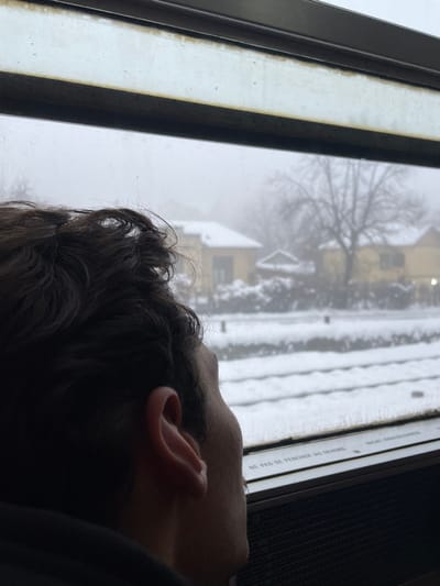 A low-angle shot shows a person gazing out of a window during a snowy day. The view through the window depicts a snow-covered landscape with a blurred house and bare trees. The individual is visible from the ear up and has dark hair. A warning sign is visible through the window as well.
