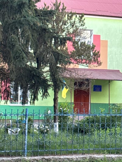 This image depicts the exterior of a building, likely a school or public institution, in Tovstoluh, Ukraine. The building has a vibrant, multi-colored facade, with sections painted in lime green, coral pink, and light orange. A corrugated red roof is visible at the top. A dark red door is partially obscured by a small covered entryway with a dark brown roof supported by thin poles. A Ukrainian flag, yellow and blue, hangs from a branch of a large, mature evergreen tree that dominates the left side of the frame. The tree's branches hang low, partially obscuring a window on the building. A blue sign with text is affixed to the wall near the entrance. In front of the building, a dark green metal fence with decorative scrollwork runs across the foreground, separating the viewer from a grassy area with scattered white flowers. A portion of a stone curb is visible at the very bottom of the image.