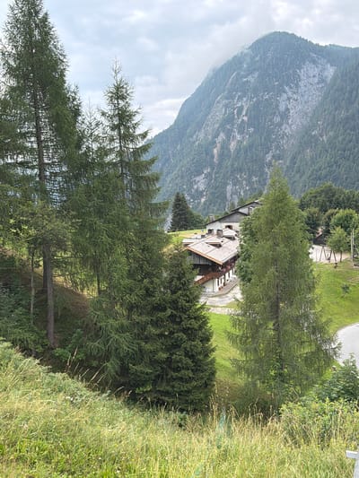 The image shows a scenic view of a mountainous region, likely in Sauris / Zahre, Italy, characterized by lush green slopes and dense coniferous forests. In the mid-ground, several traditional alpine-style buildings with wooden roofs are clustered together. A prominent, tall evergreen tree stands in the foreground, with other trees and vegetation surrounding it. The background is dominated by a large, imposing mountain with a partially rocky face, partially covered in trees, and shrouded in mist or clouds at its peak. The sky is overcast. The overall scene depicts a tranquil, natural landscape with human habitation integrated into it.