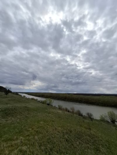 The image captures a wide, serene natural landscape under an overcast sky. A calm river flows horizontally across the middle ground, its surface subtly reflecting the soft light from above. On the immediate right bank of the river, a broad expanse of grassy terrain dominates the foreground, featuring shades of green mixed with drier, lighter vegetation, indicative of early spring growth or late autumn. A few small, possibly deciduous trees or shrubs with sparse foliage are scattered along this bank, close to the water's edge.

Across the river, a dense line of trees forms a dark, distant treeline that extends across the horizon, marking the opposite bank. The upper half of the image is filled with a vast, cloudy sky. The clouds are predominantly grey, presenting a textured and somewhat uniform coverage, though hints of brighter white suggest areas where light might be piercing through or reflecting.

No people, animals, or man-made objects are visible, emphasizing the natural and untouched character of the setting. The scene conveys a sense of tranquility and expansive nature, typical of a rural landscape near Elets-Malanino, Russia, on a day with diffused daylight. No text is visible in the image.